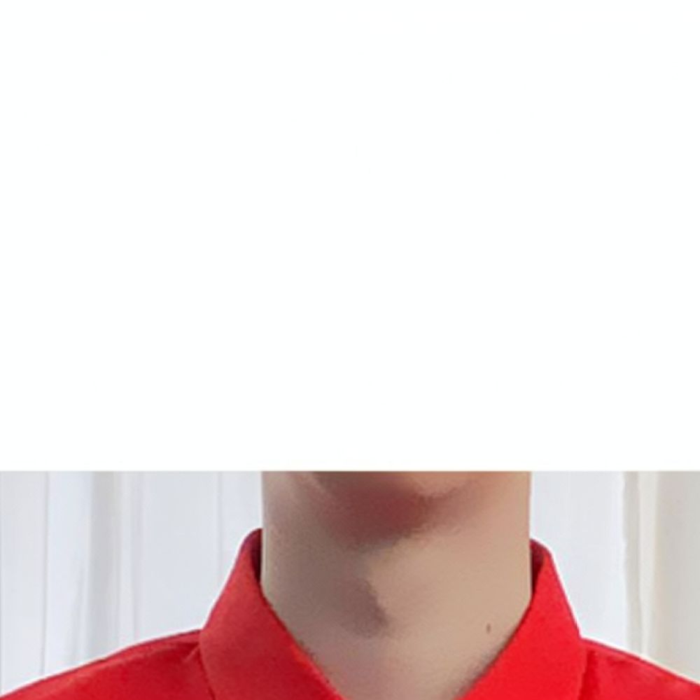 Mens Spring Long Sleeve Busine - Men Formal Party Wear Shirt 评论和价格